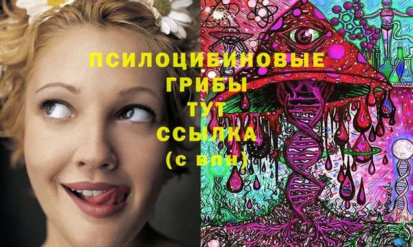 первитин Гусь-Хрустальный